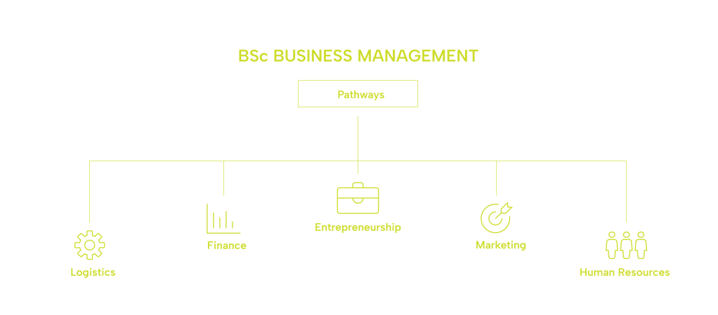 BSc Business Management Pathways