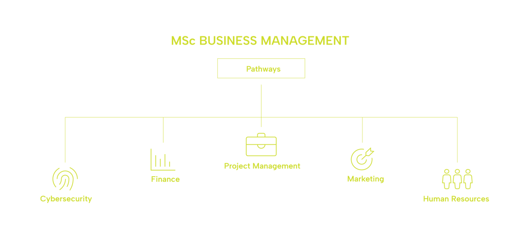MSc Business Management Pathways