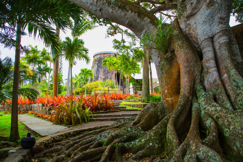 Montpelier Plantation and Beach in Nevis