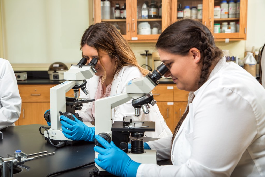 Students Conducting Research in the MUA Lab