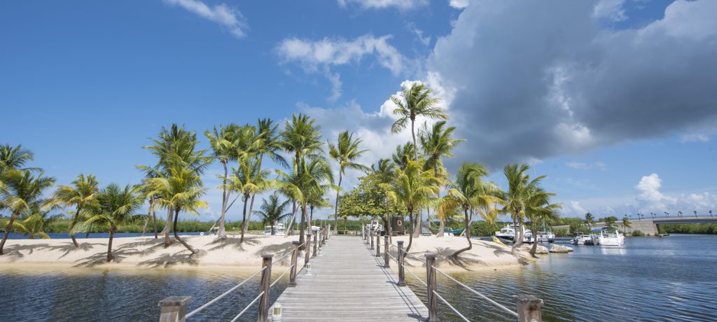 Caymana Bay in Grand Cayman