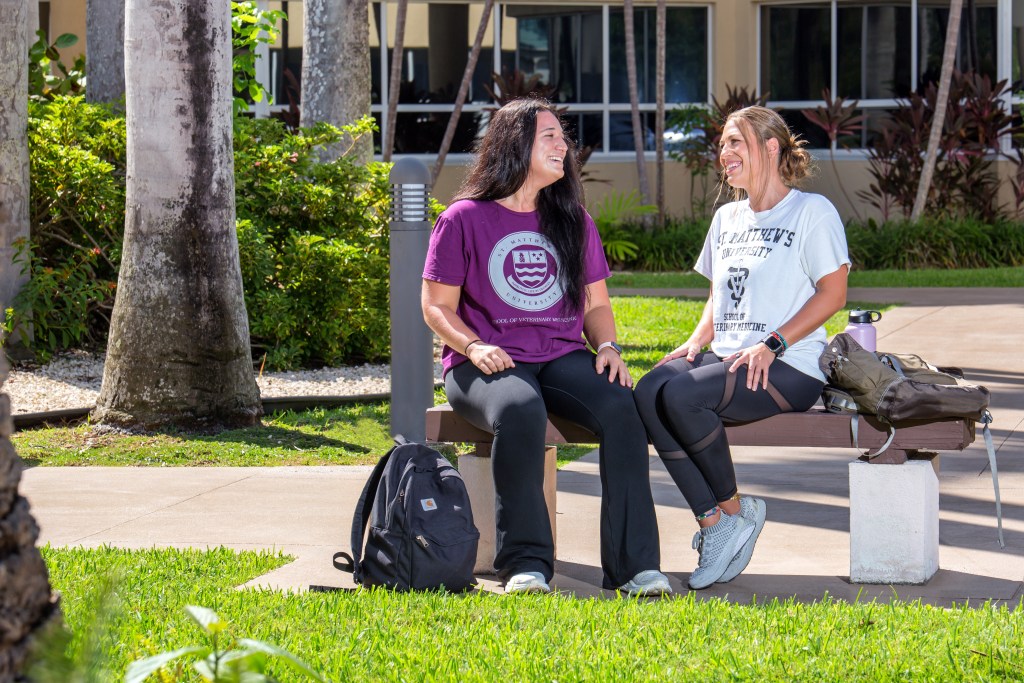 SMU Veterinary students enjoying some time outside between classes