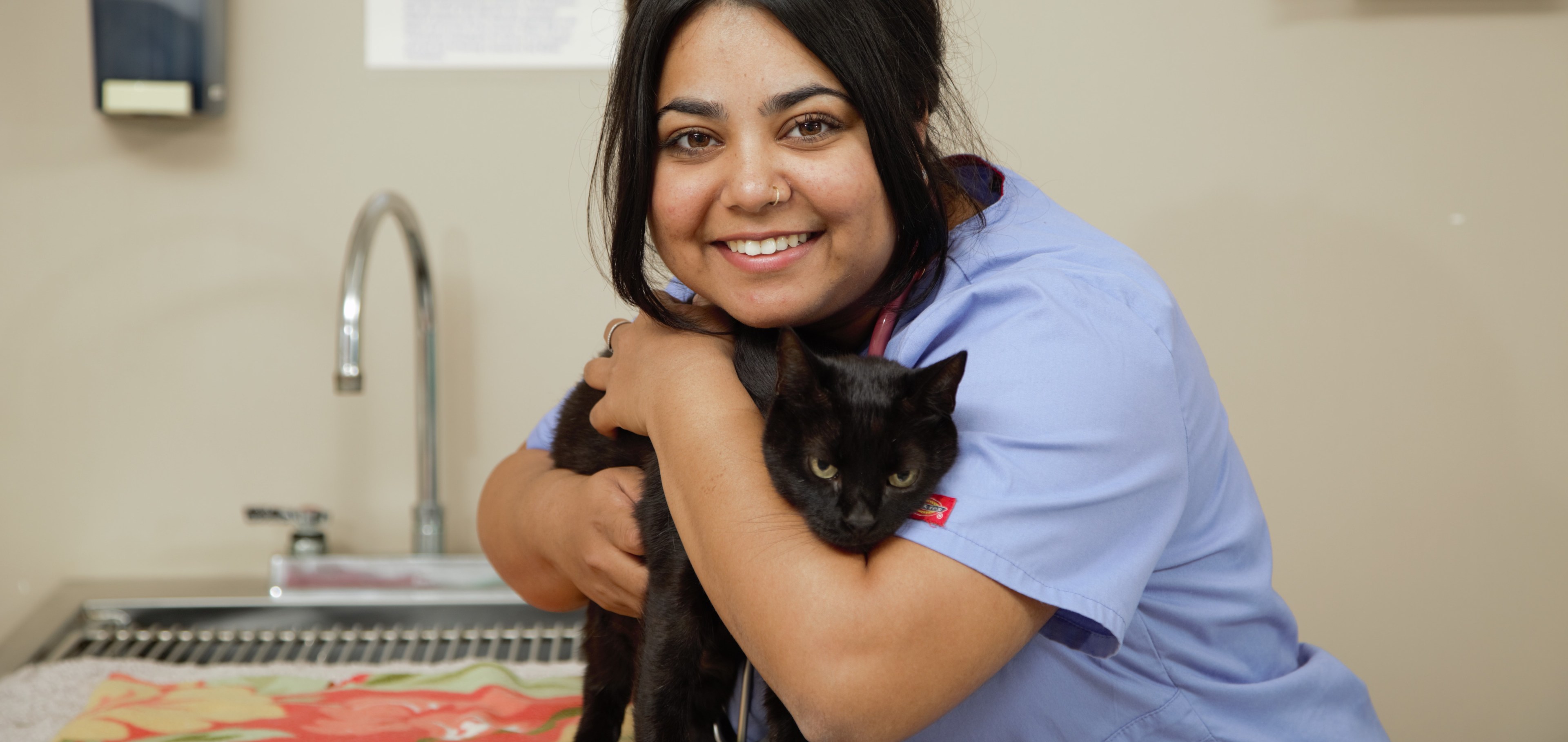 SMU Veterinary student working in clinical skills lab with cat