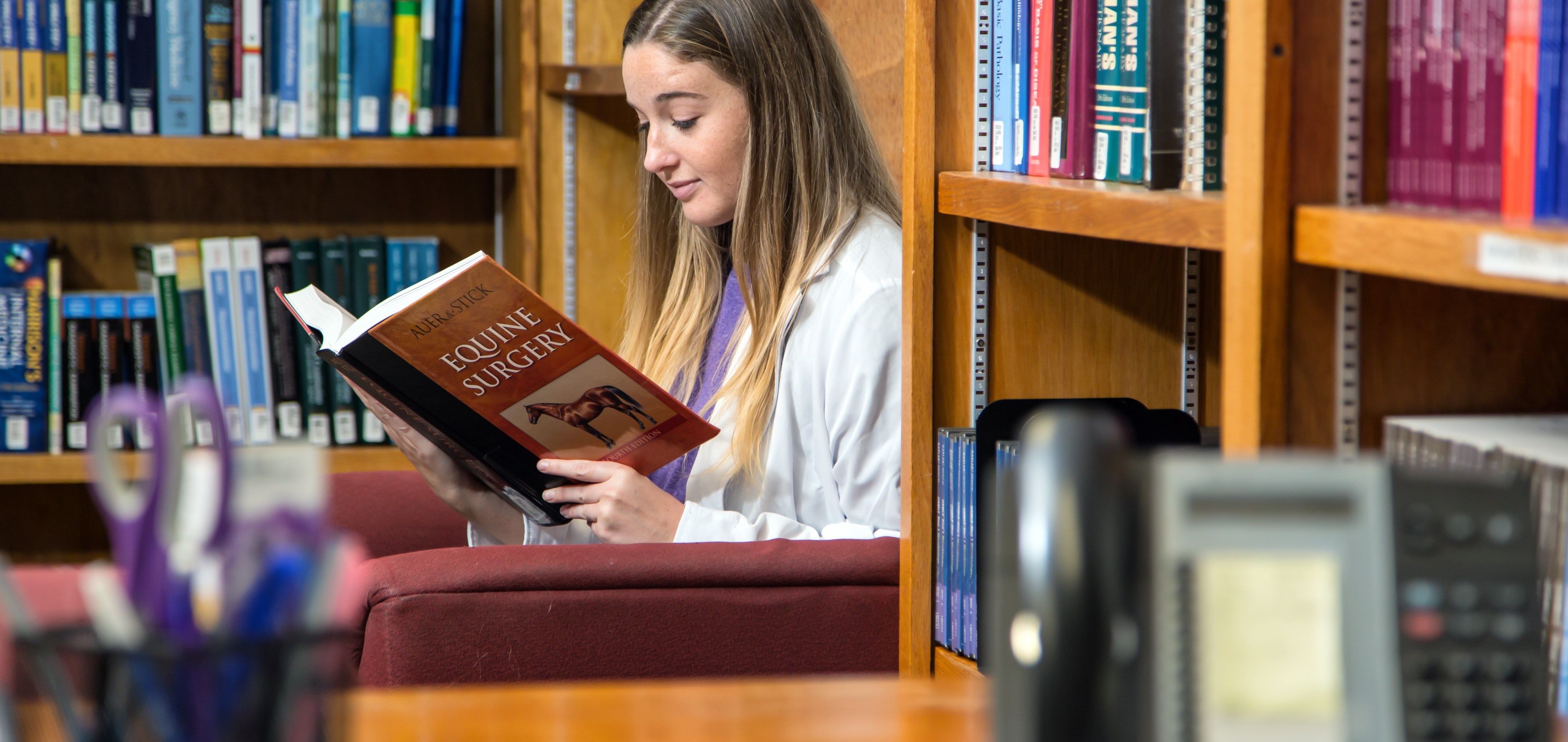 SMU Veterinary student studying in library