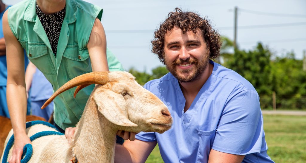 SMU Veterinary student working with goat