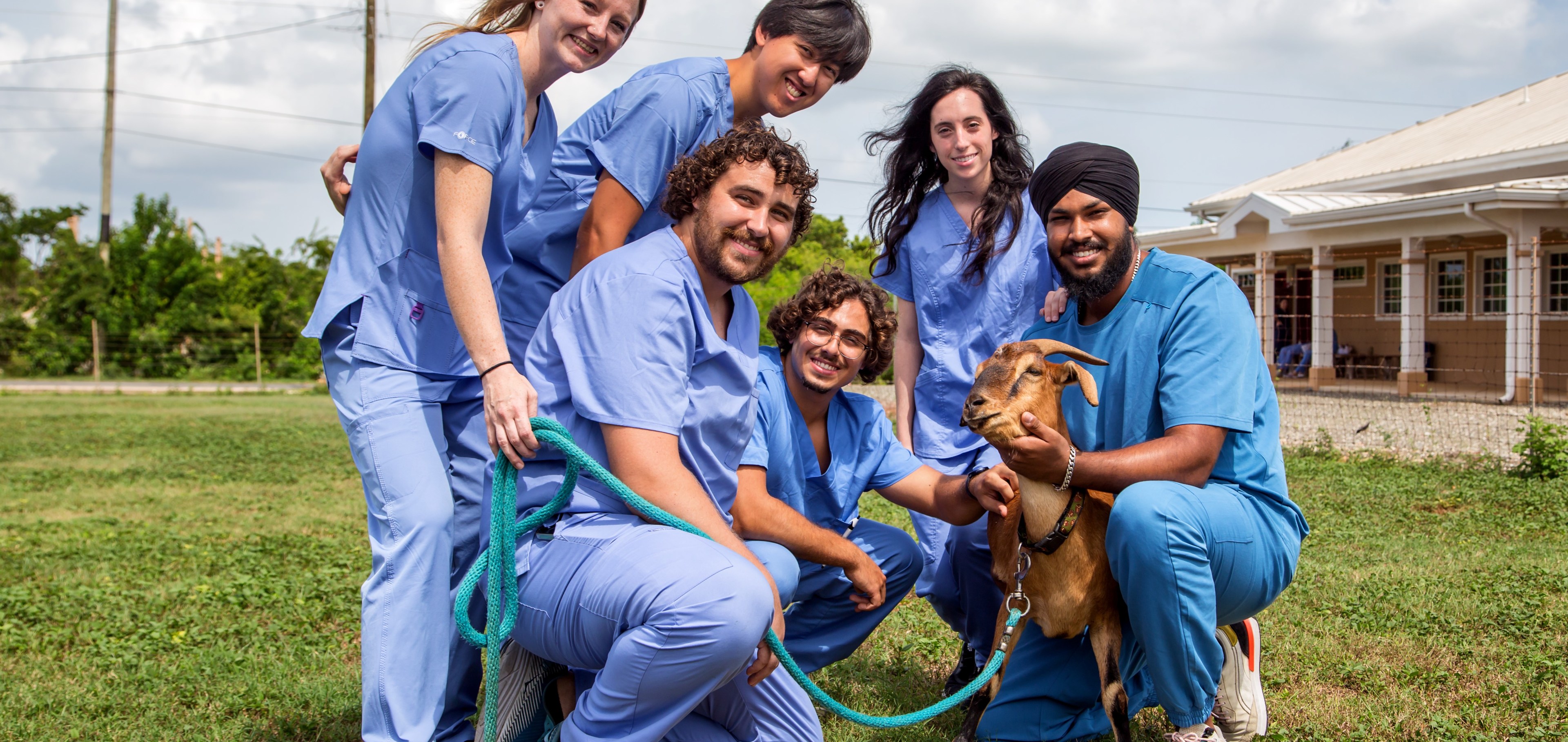 SMU Veterinary students work with goats