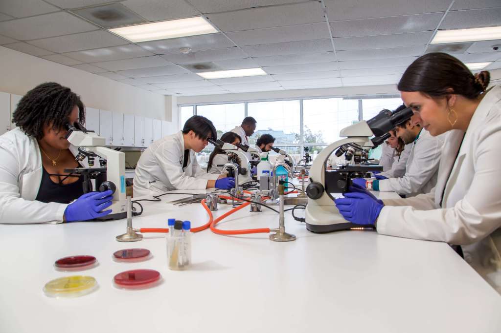 SMU Medical students performing labs in microbiology lab